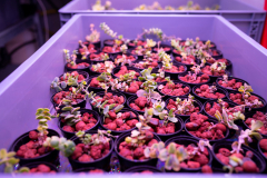 Story für Esquire Deutschland

Protagonistin: Prof. Dr. Heike Mempel
Ort: Hochschule Weihenstephan-Triesdorf
Datum: 19.01.2020
Autorin: Conie Morarescu
Fotograf: Sebastian Gabriel