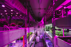 Story für Esquire DeutschlandProtagonistin: Prof. Dr. Heike MempelOrt: Hochschule Weihenstephan-TriesdorfDatum: 19.01.2020Autorin: Conie MorarescuFotograf: Sebastian Gabriel