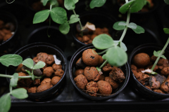 Story für Esquire DeutschlandProtagonistin: Prof. Dr. Heike MempelOrt: Hochschule Weihenstephan-TriesdorfDatum: 19.01.2020Autorin: Conie MorarescuFotograf: Sebastian Gabriel